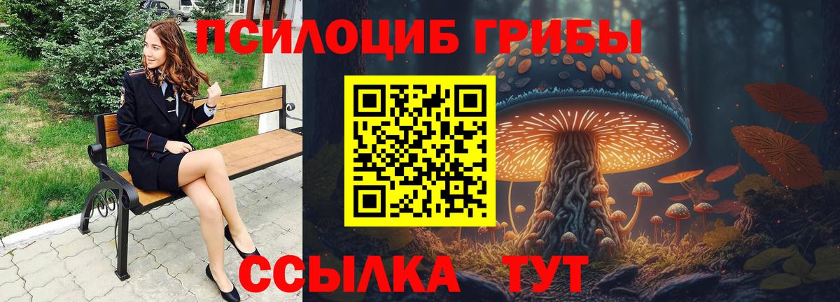 Чехов  Псилоцибиновые грибы мицелий  Вход с VPN 