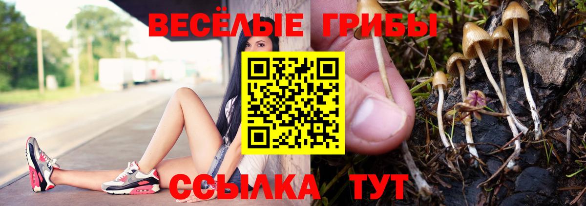 Псилоцибиновые грибы мухоморы Чехов